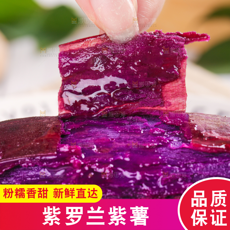 浅底上的板栗紫薯