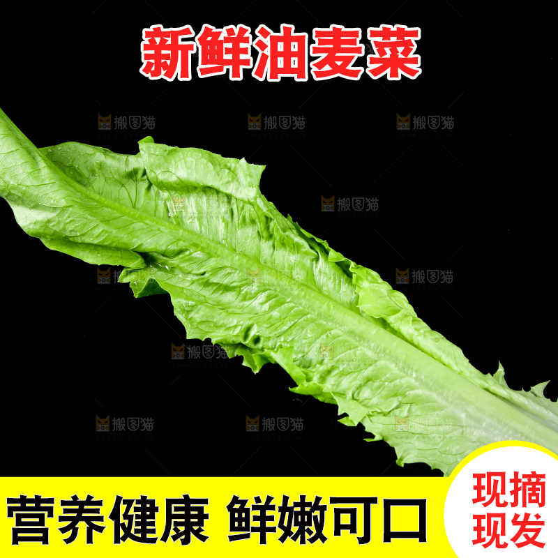 黑底上的油麦菜