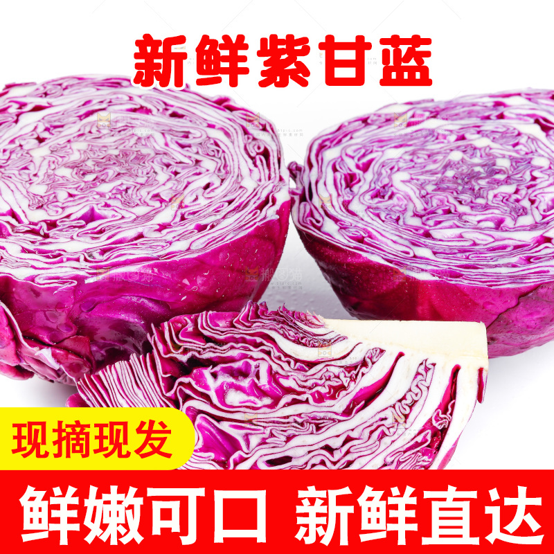 白底上放着甘蓝