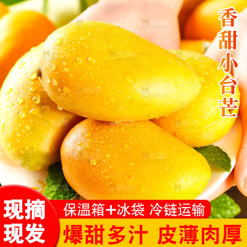 手里拿着小台芒