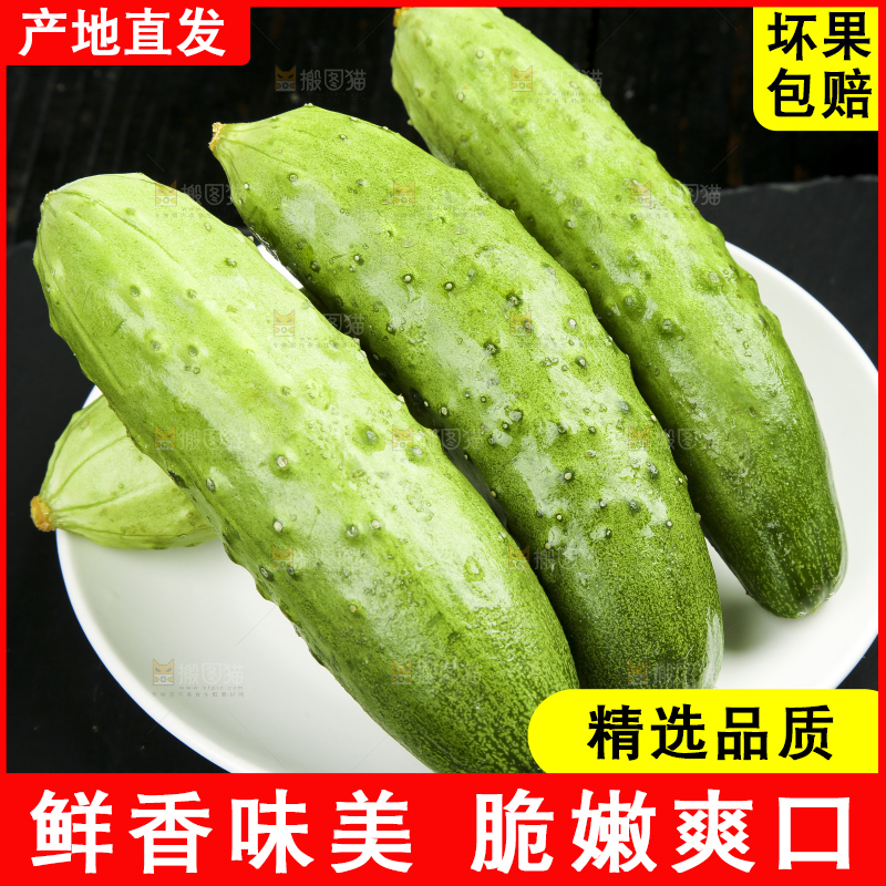 深底上放着一盘新鲜黄瓜