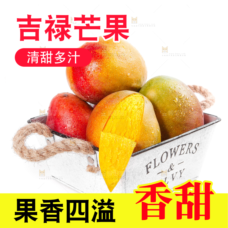 白底上的四川吉禄芒