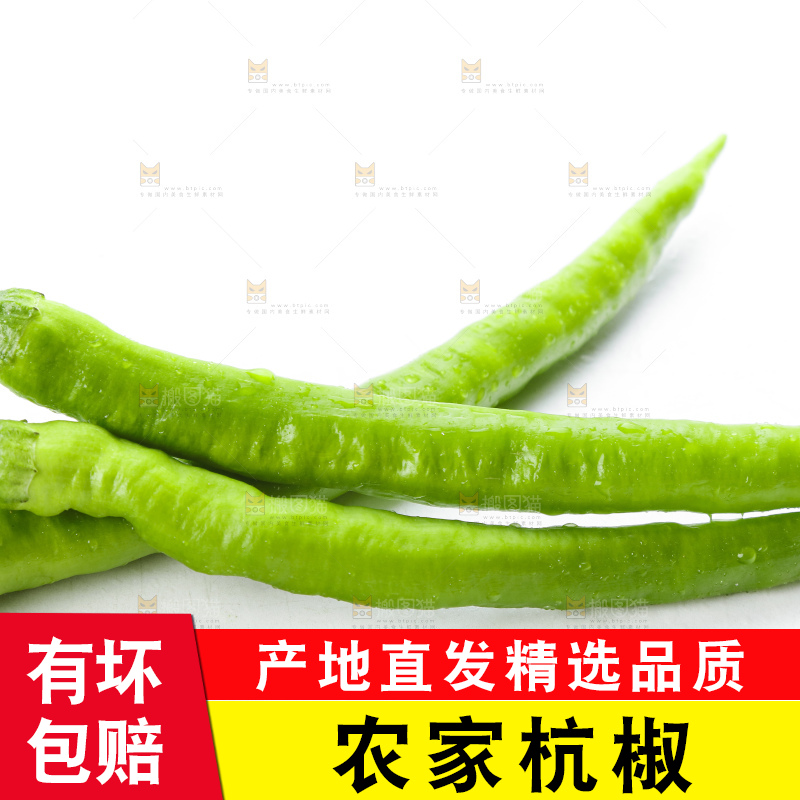 白底上摆放着青尖椒