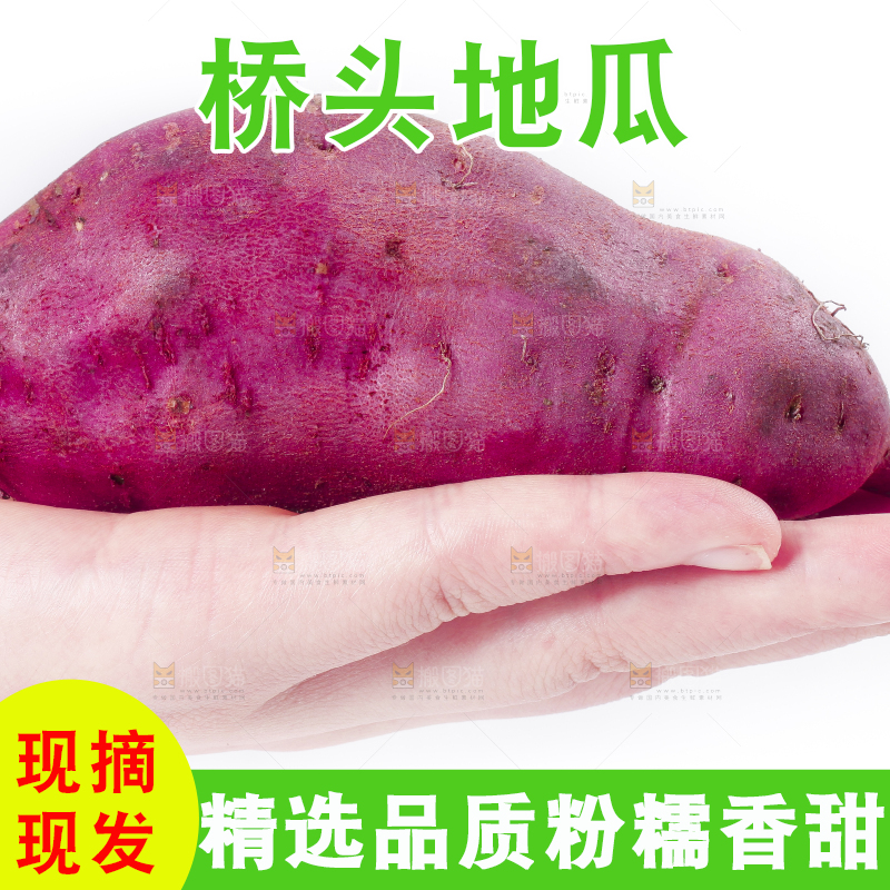 手里拿着红薯