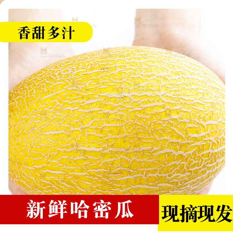 手里拿着新疆黄皮哈密瓜