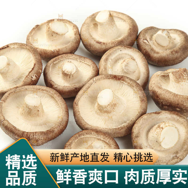 白底上放着香菇