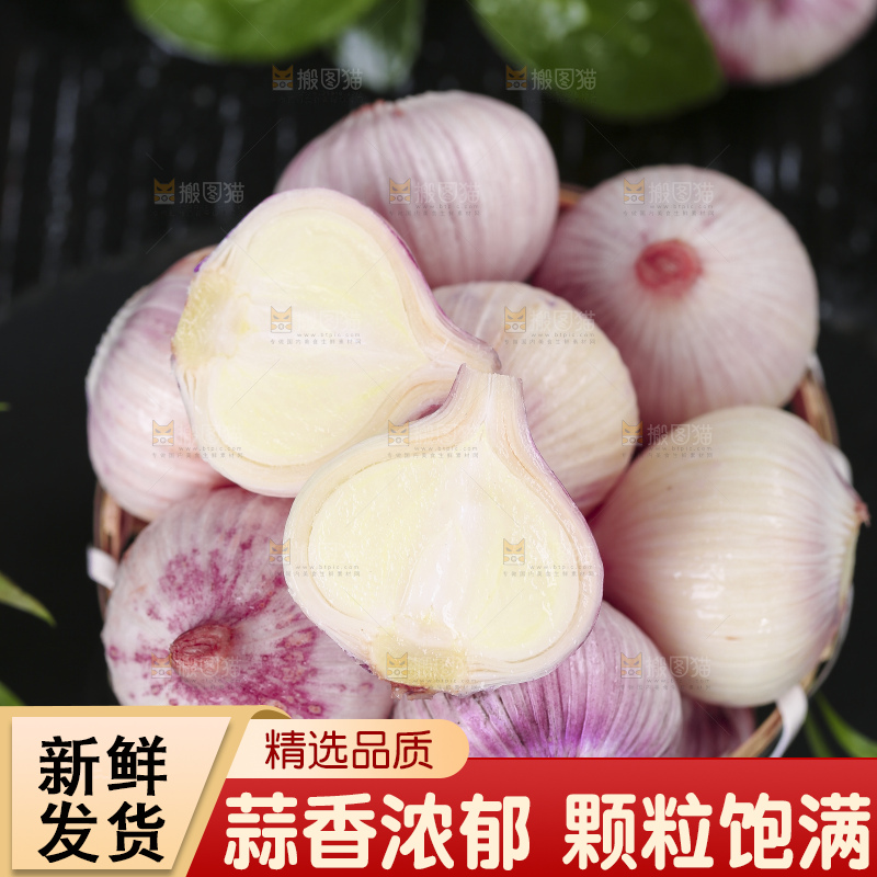 黑底上放着云南紫皮独头蒜