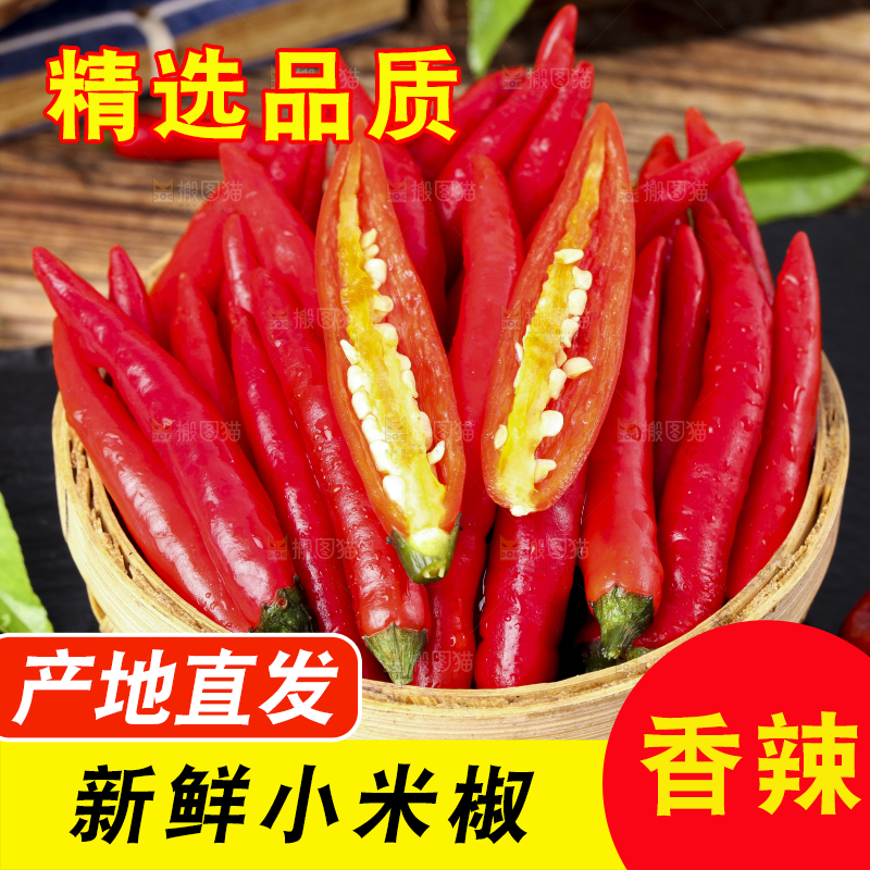 篮子里装着山东小米椒