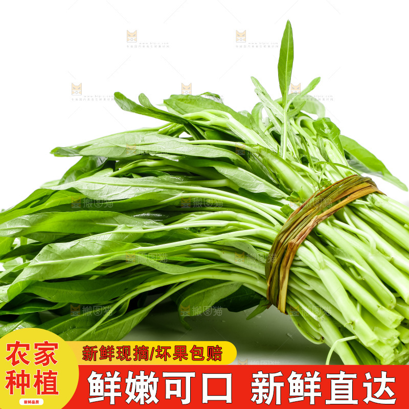 白底上放着新鲜空心菜