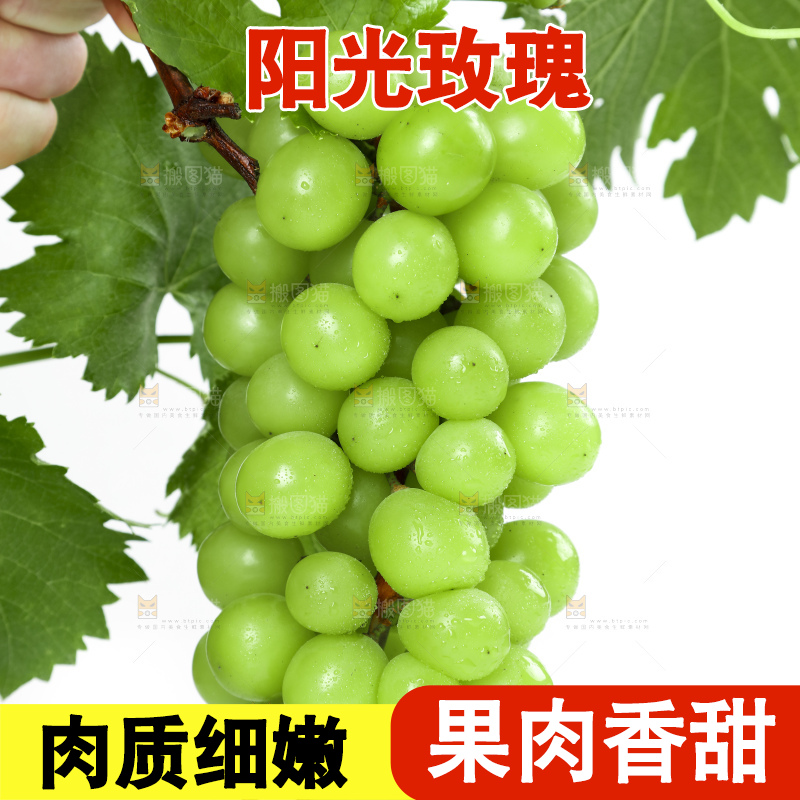 手里拿着阳光玫瑰葡萄