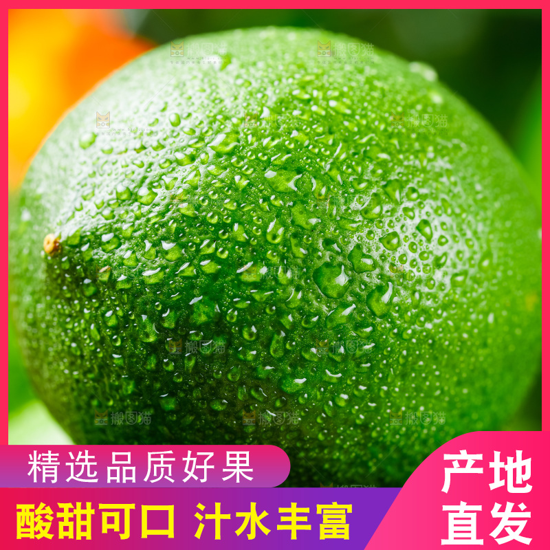 一个香水柠檬特写