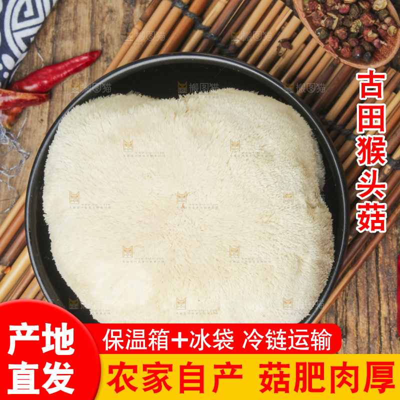 盘子里装着新鲜猴头菇