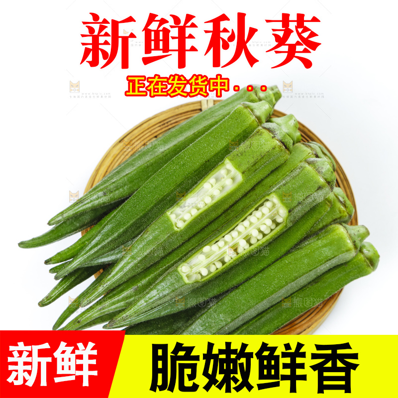 篮子里装着山东新鲜秋葵