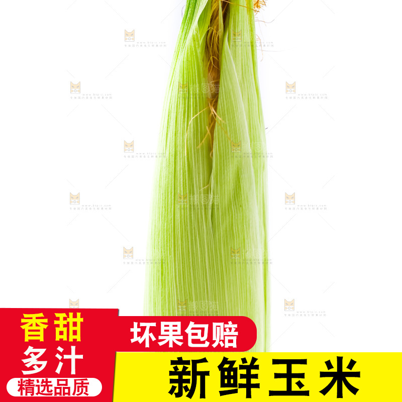 白底上摆放着甜玉米
