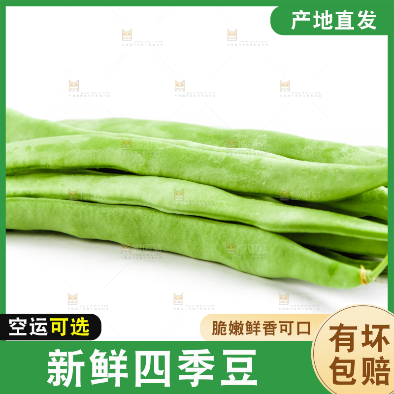 白底上放着新鲜四季豆