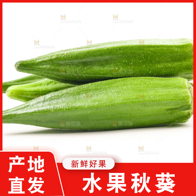 白底上的新鲜秋葵