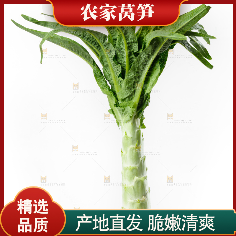 白底上放着莴笋