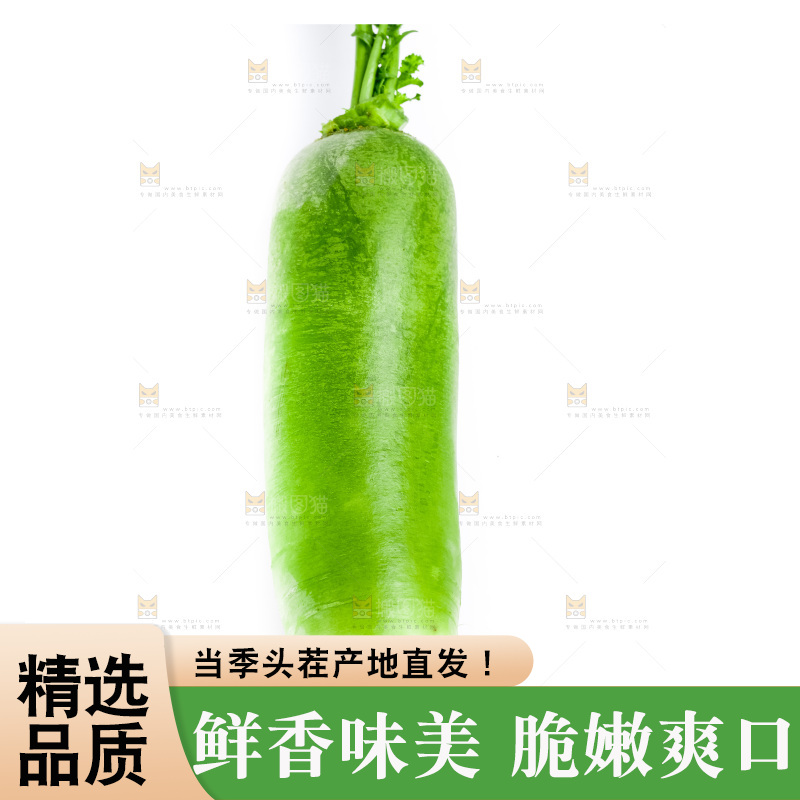 白底上放着水果萝卜
