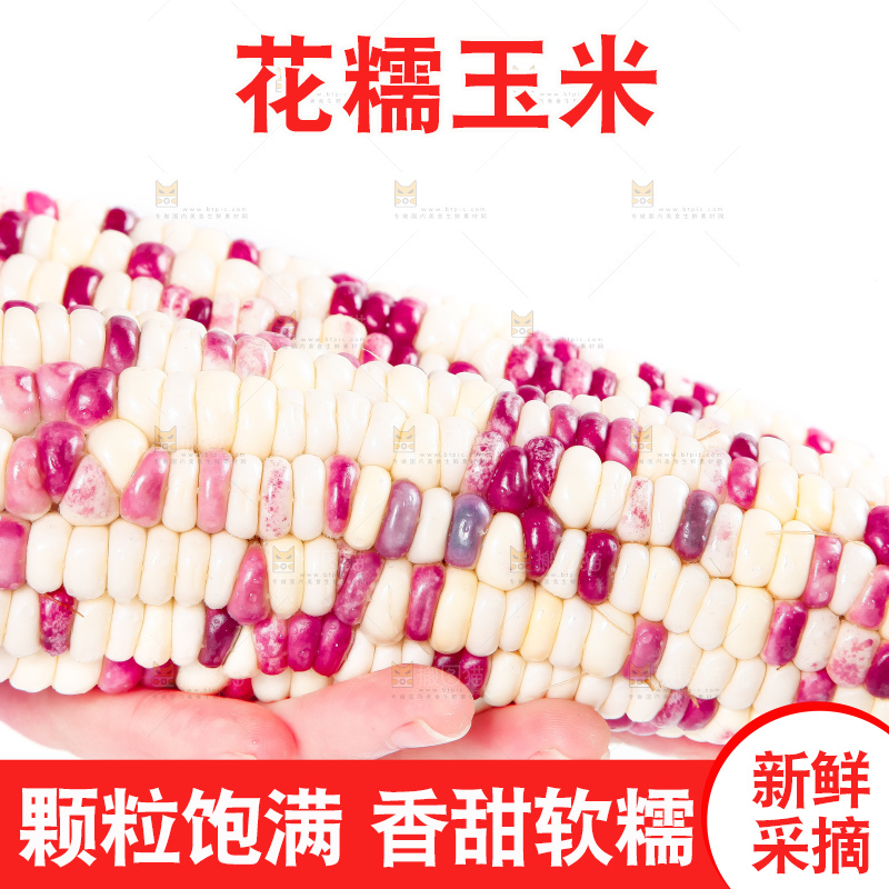 手里拿着剥皮的花玉米
