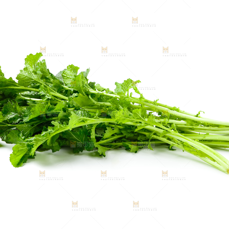 白底上的腊菜