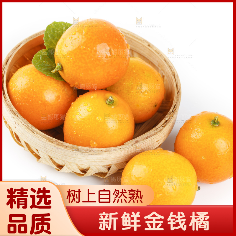 篮子里装着小金桔