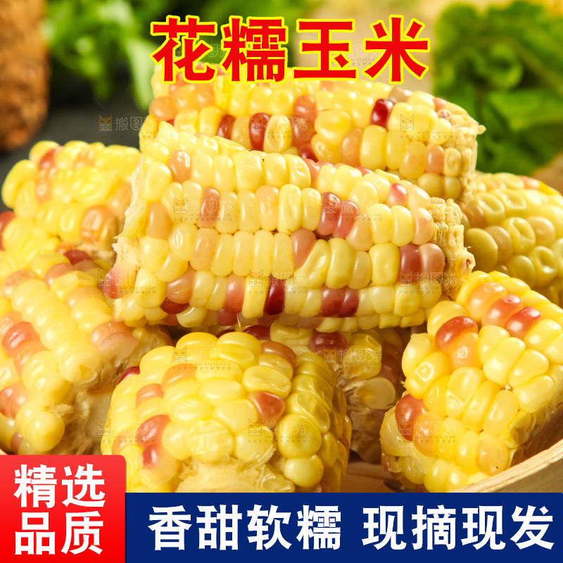 竹笼里装着糯玉米粒