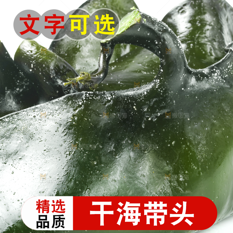 白底上摆放着新鲜海带