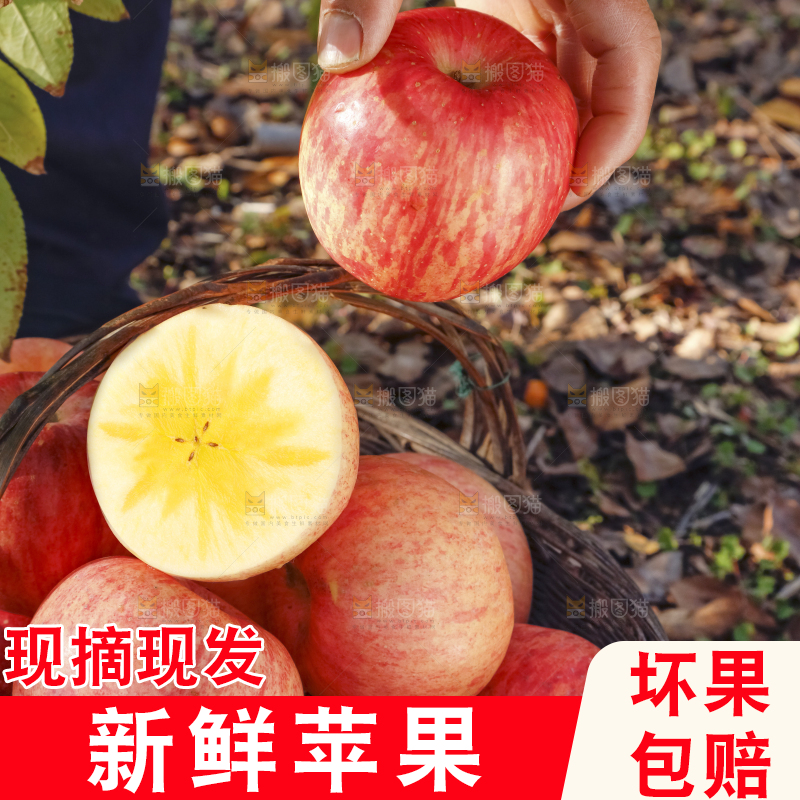 篮子里装着冰糖心苹果