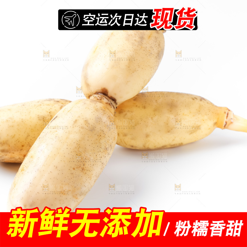 白底上放着莲藕