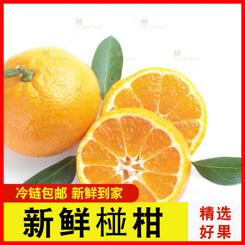白底上的椪柑