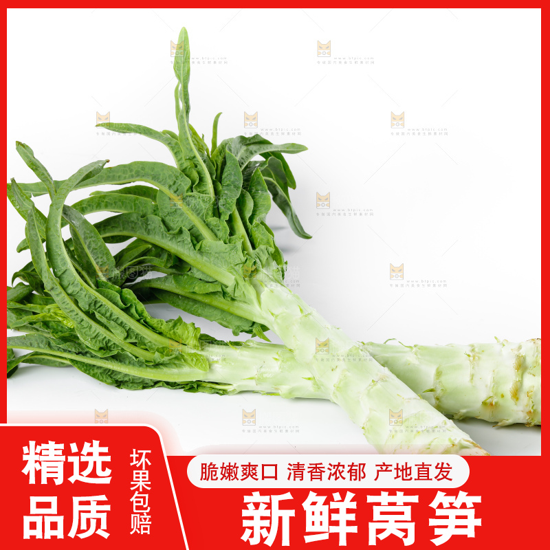 白底上放着莴笋