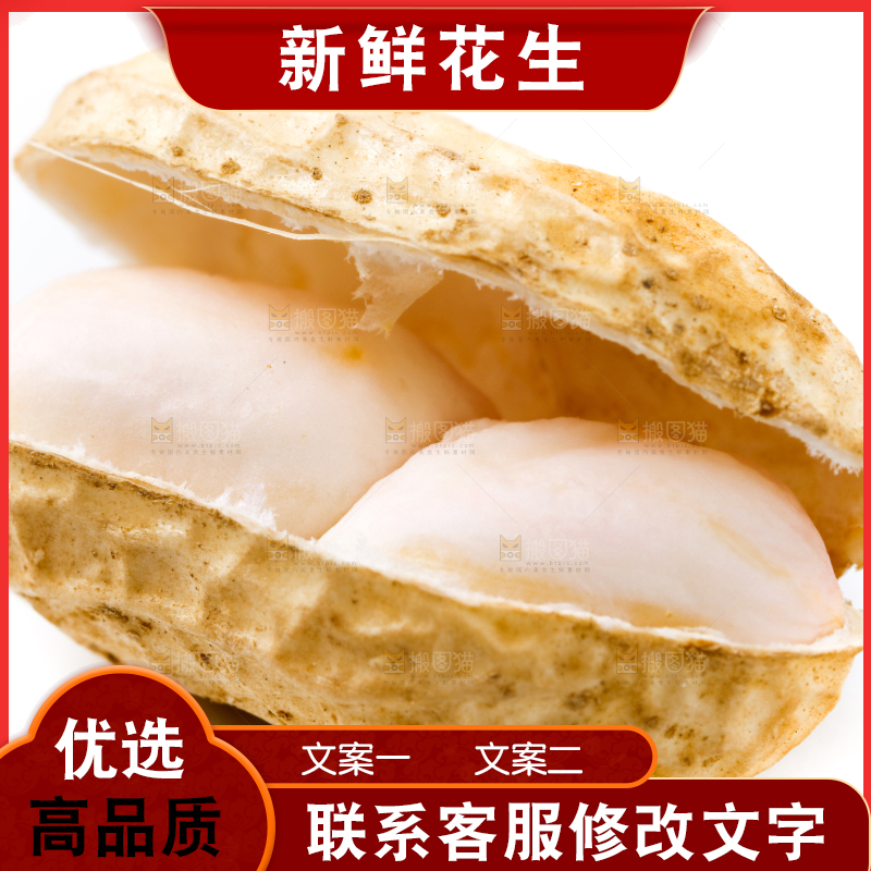 白底上的新鲜带壳花生