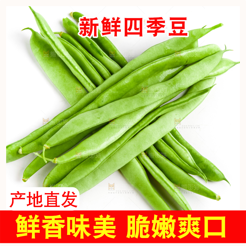 白底上的四季豆