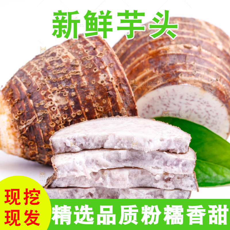 白底上放着荔浦芋头