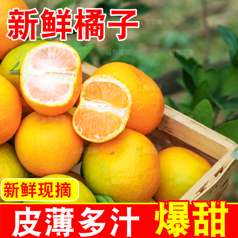 篮子里装着蜜橘