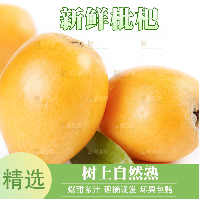 白底上的米易枇杷