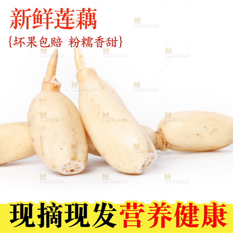 白底上的新鲜莲藕