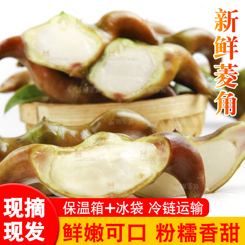 白底上的菱角