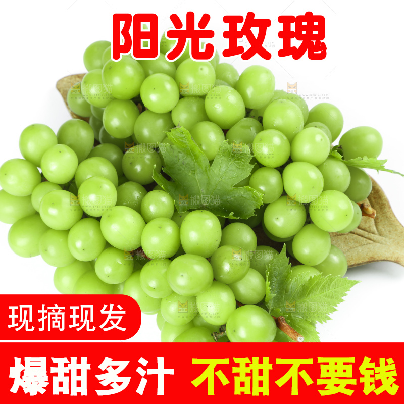 白底上放着阳光玫瑰