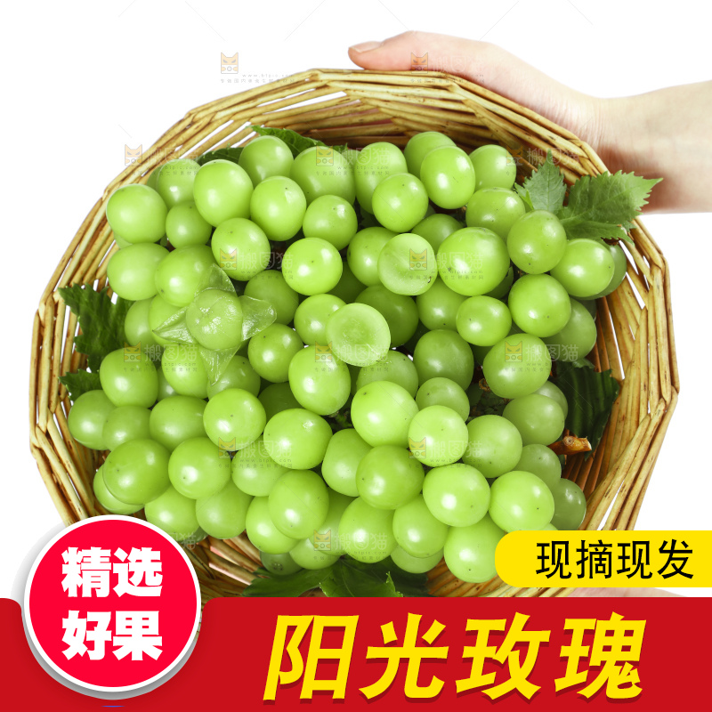 手里拿着无籽青提