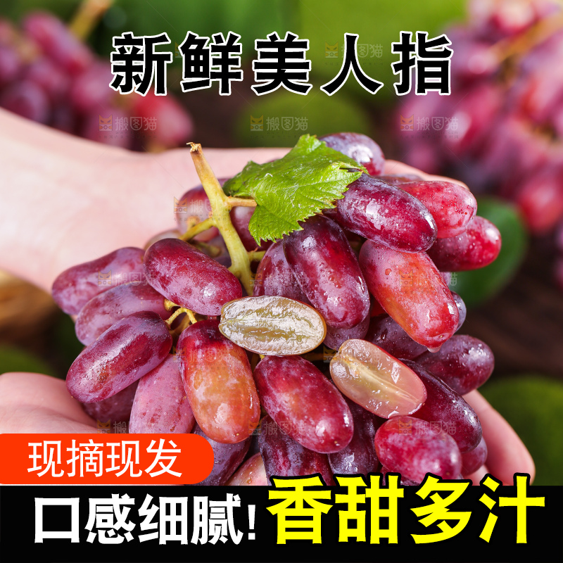 双手捧着美人指葡萄