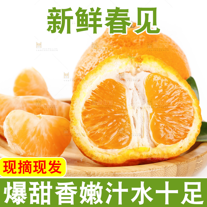 盘子里的春见耙耙柑