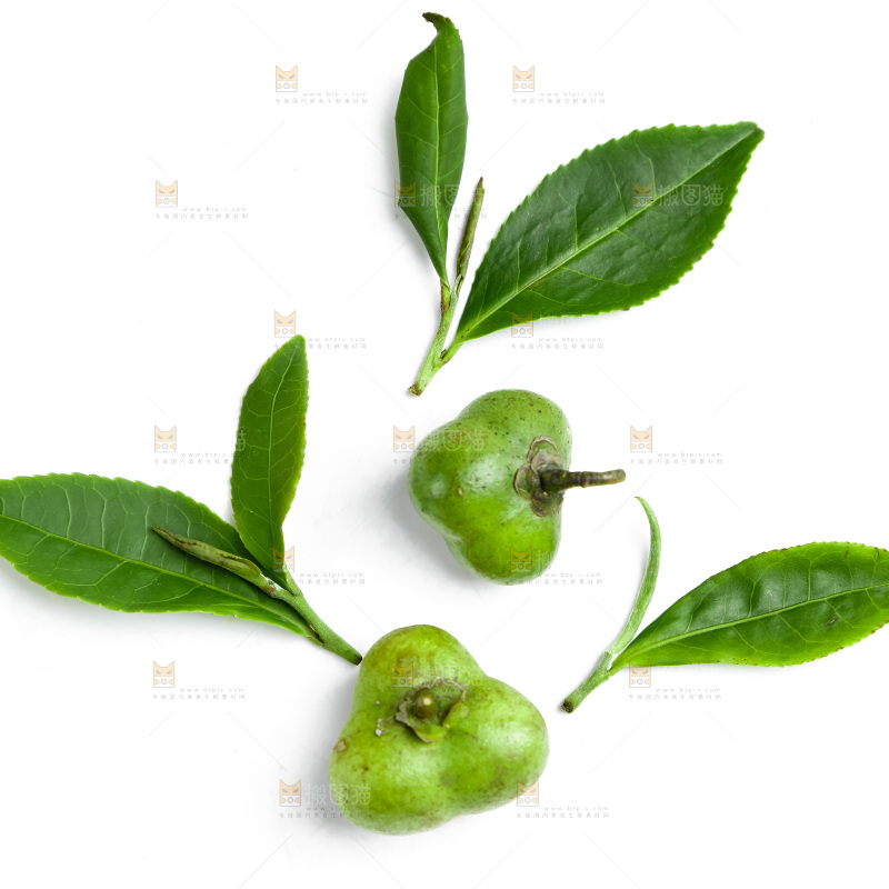 白底上放着绿茶叶