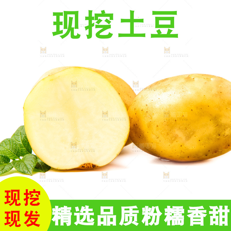 黄心土豆放在白底上