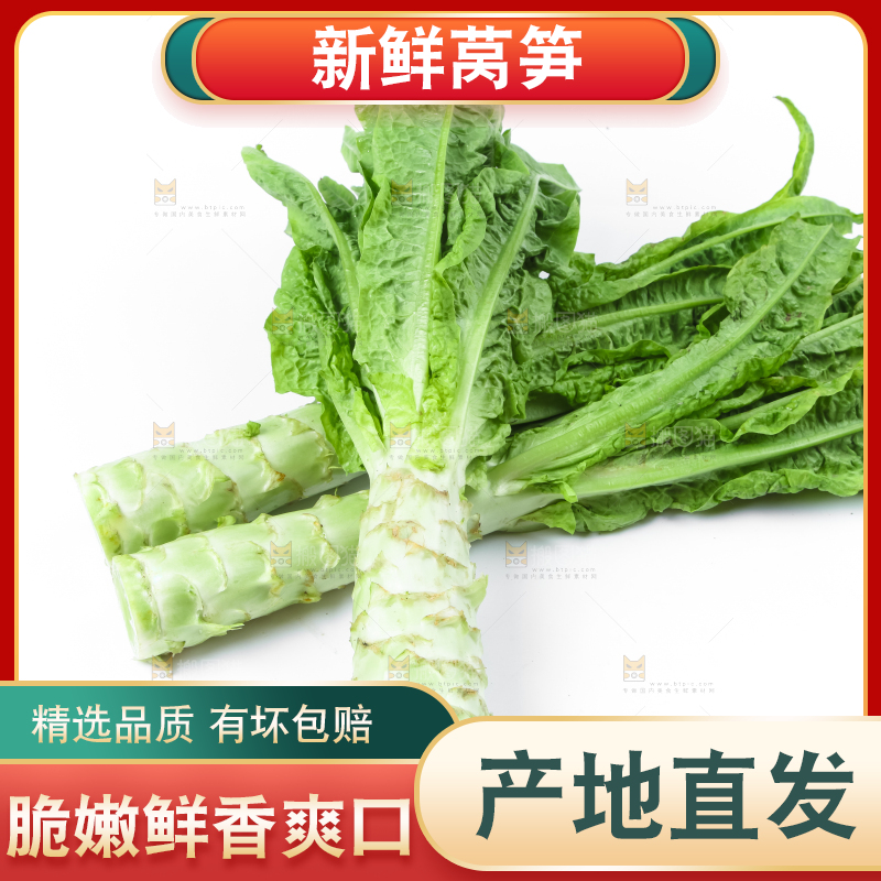 白底上的莴笋