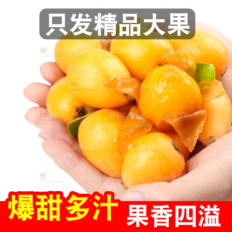手里捧着云南蒙自枇杷