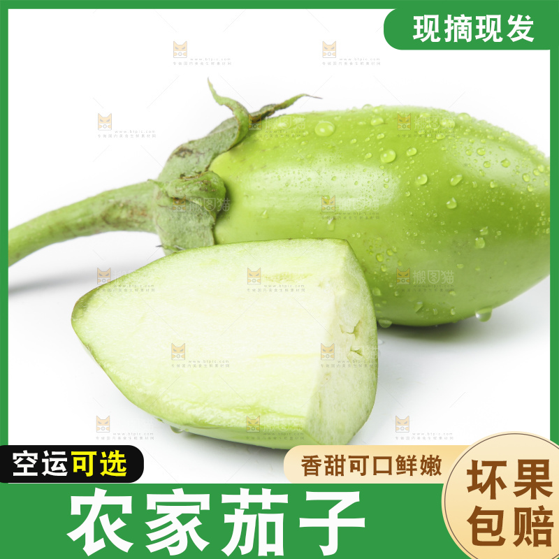 白底上放着青皮茄子