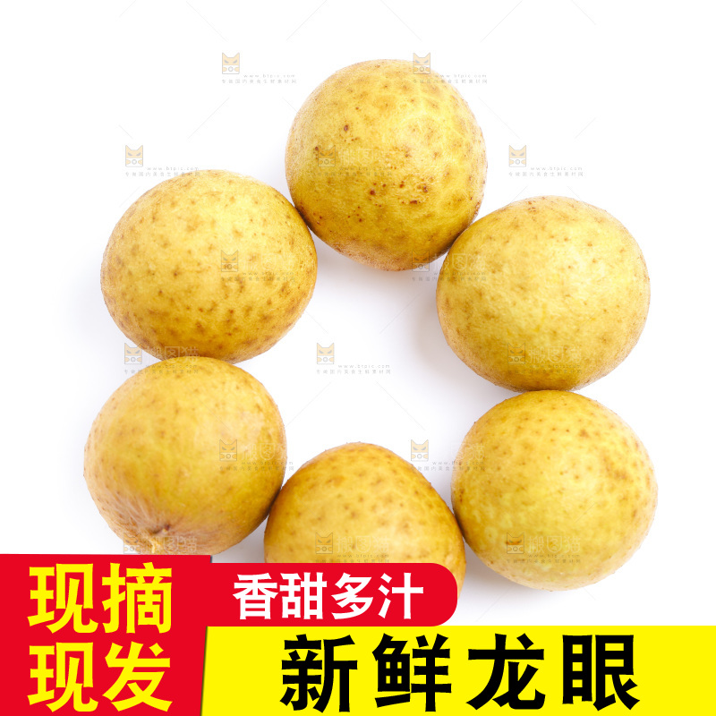 白底上的龙眼
