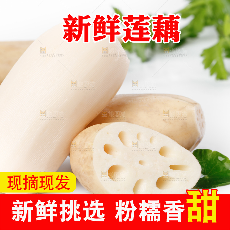 白底上一堆湖北洪湖莲藕