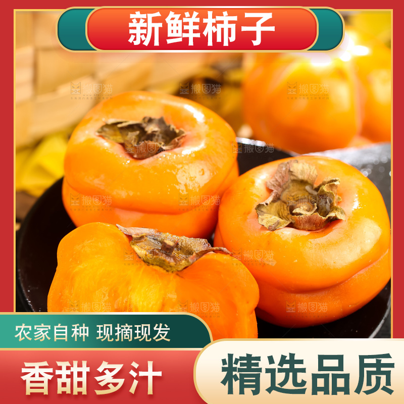 黑石板上放着易县磨盘柿